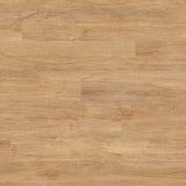 Swiss Oak Golden