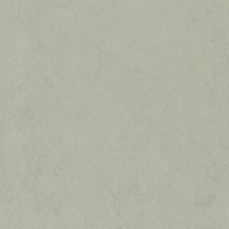 Silver Grey
