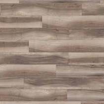 Timber Camel