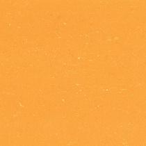 Sunrise Orange 