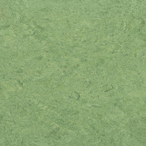 Frog Green