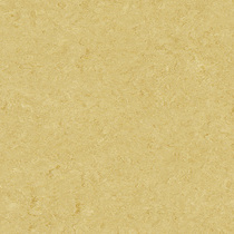 Pale Yellow